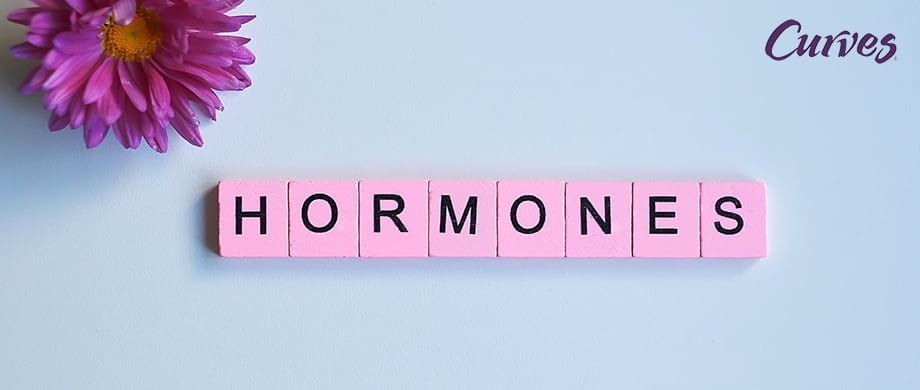 Tại sao HORMOMES lại quan trọng như vậy?